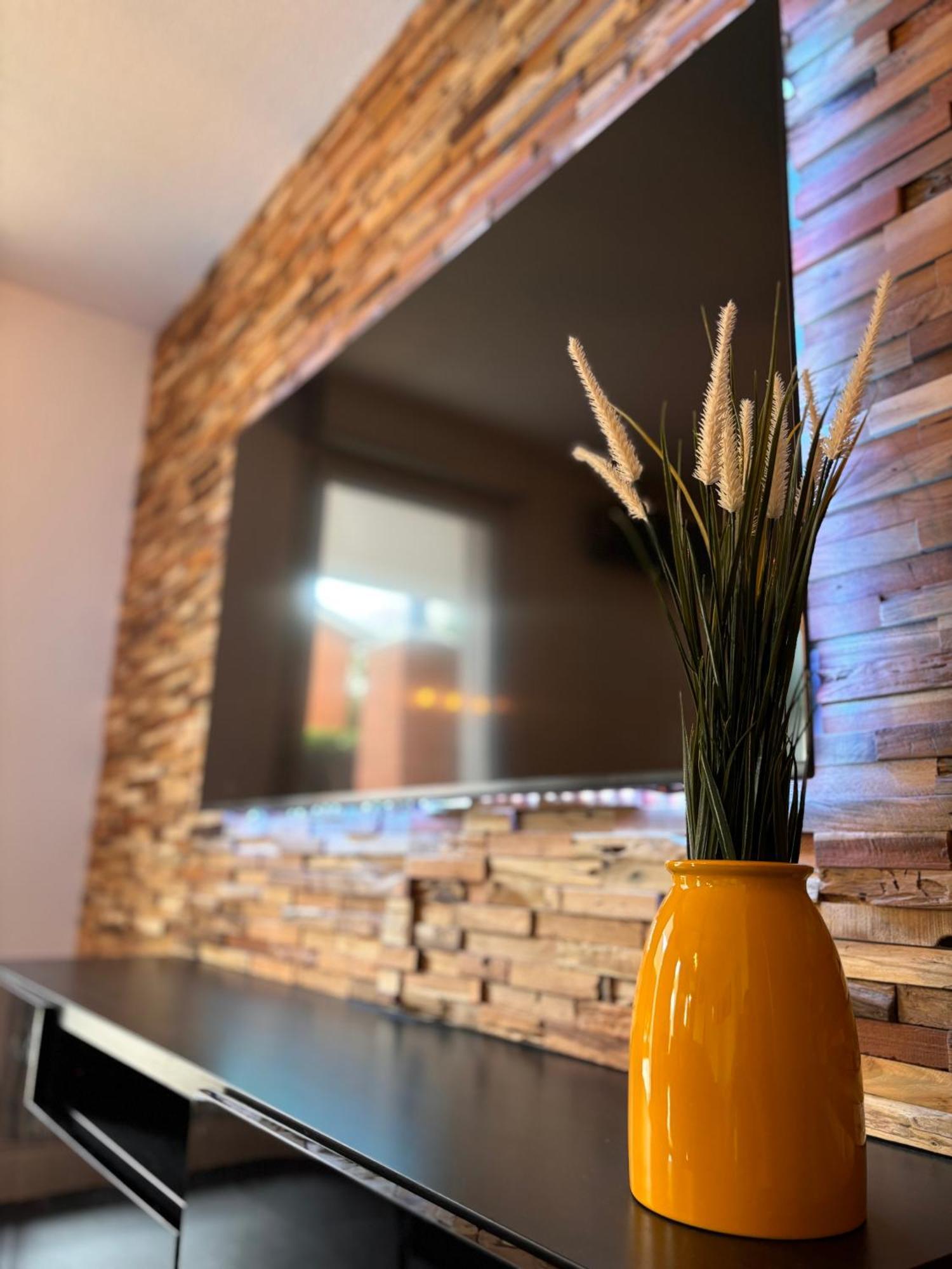 Charmant Appartement Toulouse Dış mekan fotoğraf