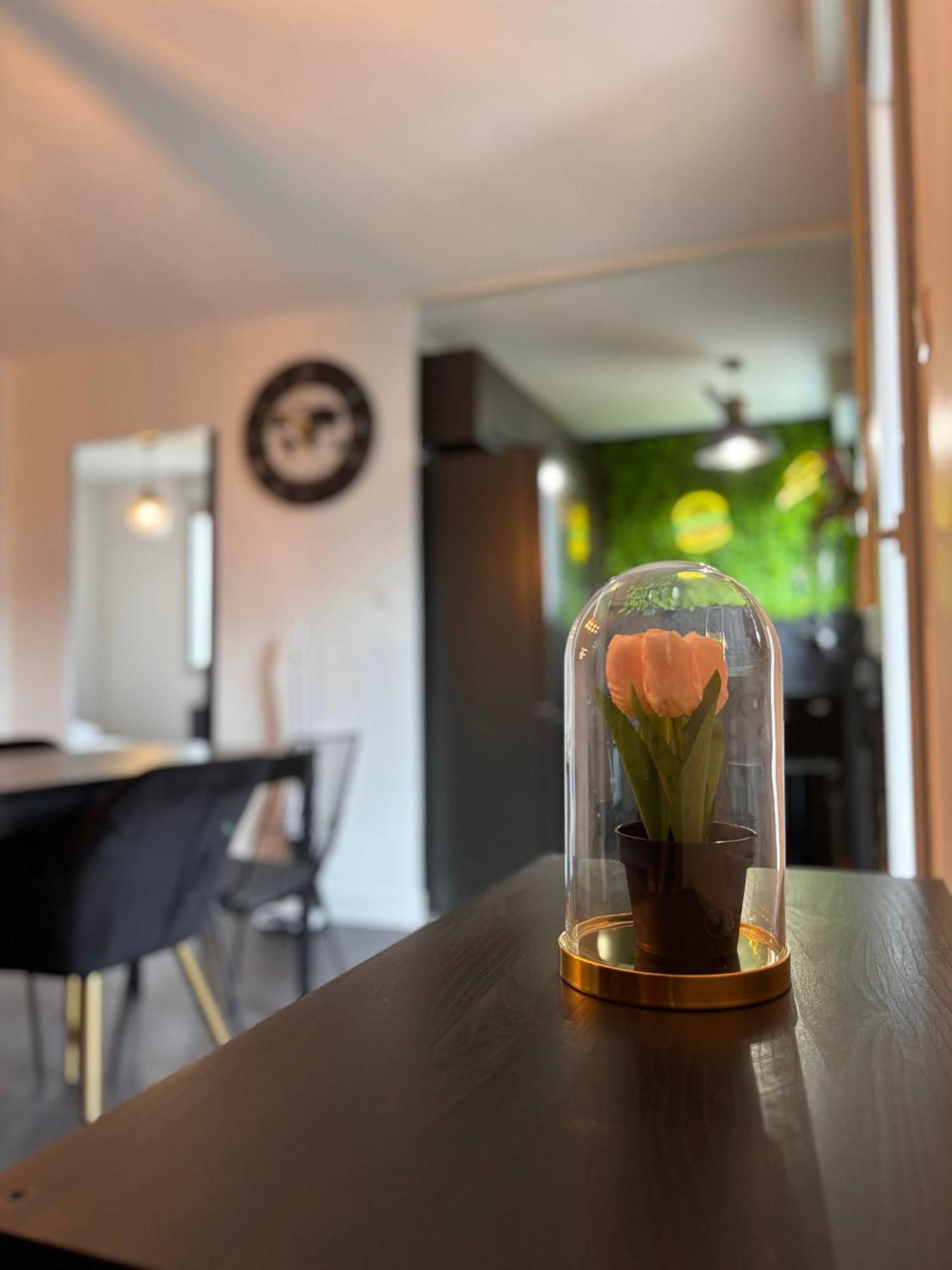 Charmant Appartement Toulouse Dış mekan fotoğraf
