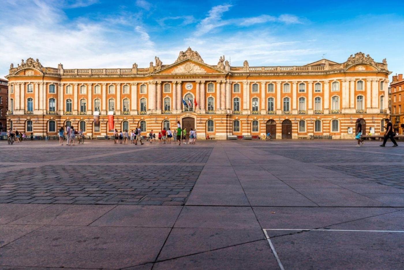 Charmant Appartement Toulouse Dış mekan fotoğraf