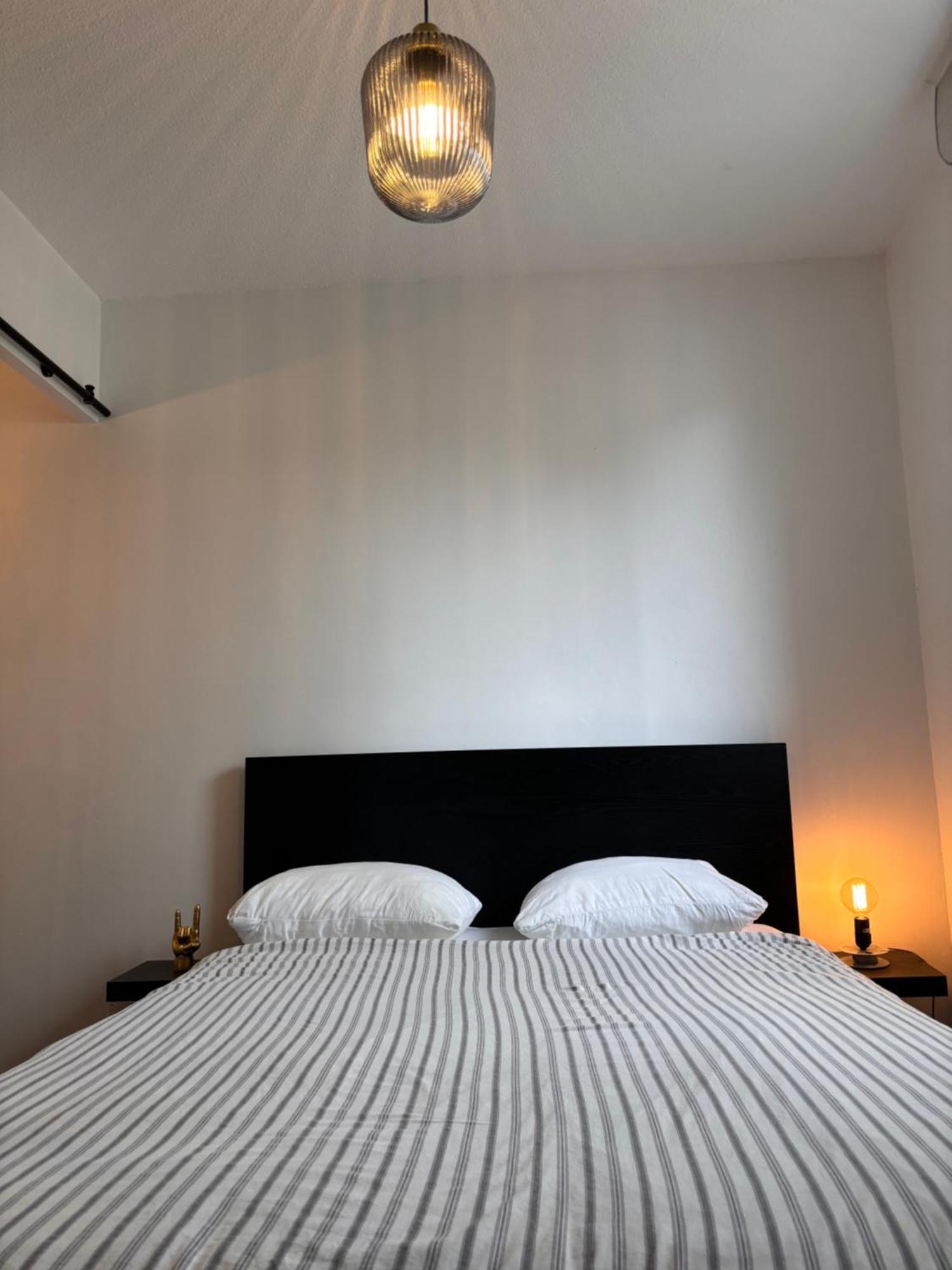 Charmant Appartement Toulouse Dış mekan fotoğraf